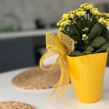 Maelle By Portofinovacanze Rapallo