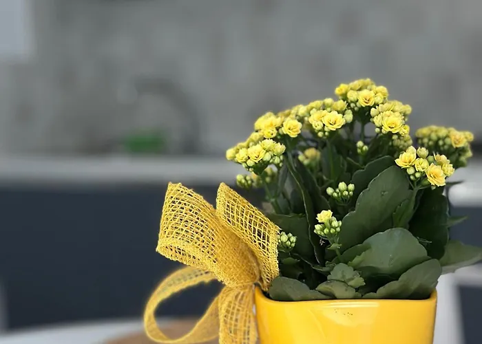 Apartment Maelle By Portofinovacanze *