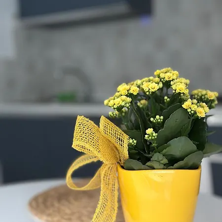 Appartamento Maelle By Portofinovacanze *