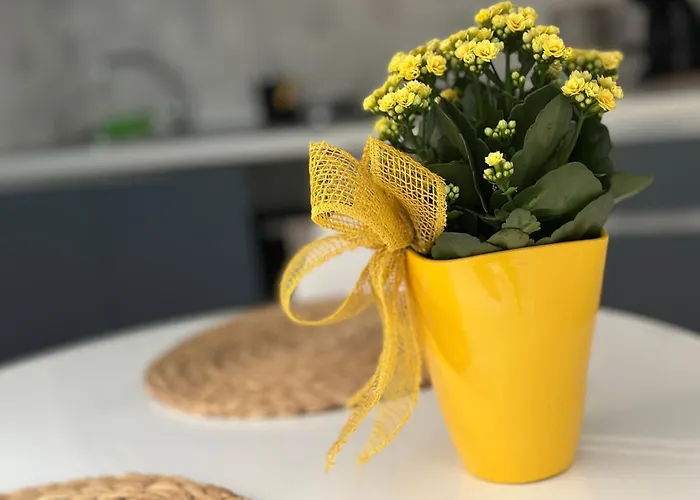 Maelle By Portofinovacanze Rapallo